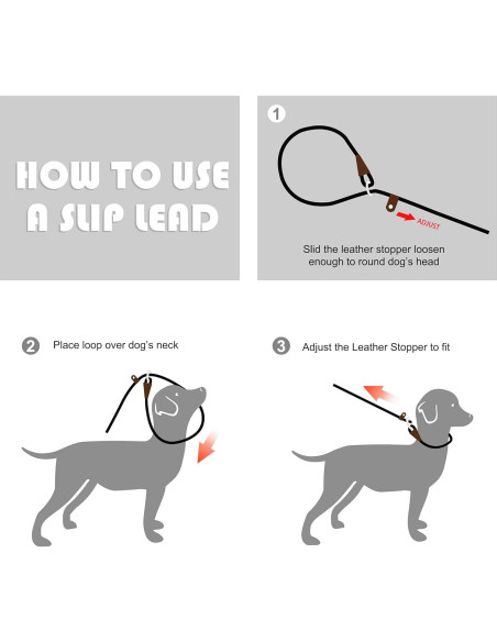 Correa Deslizante Fida para Perros Grandes 1,27cm x 1,83m