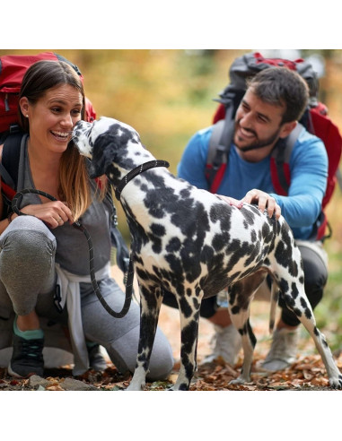 Correa Deslizante Fida para Perros Grandes 1,27cm x 1,83m