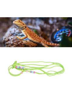 Correa Ajustable para Lagarto Dragón Barbudo Tnfeeon Verde 2