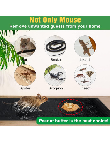 Trampas Adhesivas para Ratones Wanqueen 10 Piezas 119.9x27.9cm