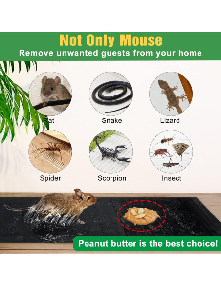 Trampas Adhesivas para Ratones Wanqueen 10 Piezas 119.9x27.9cm