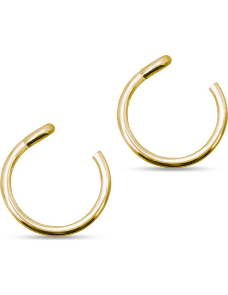 Anillos de nariz falsos de clip dorados - 2 unidades - sin perforación