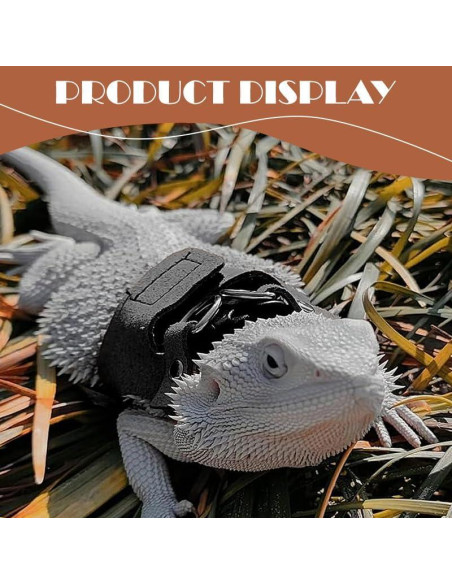 Correa y Arnés Ajustable para Dragón Barbudo HOKABLE - 3 Tamaños