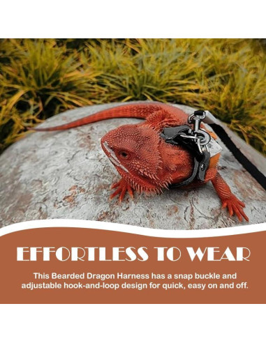 Correa y Arnés Ajustable para Dragón Barbudo HOKABLE - 3 Tamaños