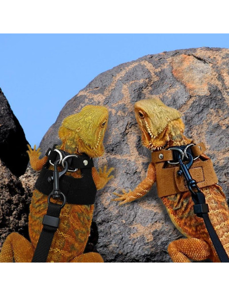 Correa y Arnés Ajustable para Dragón Barbudo HOKABLE - 3 Tamaños