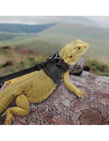 Correa y Arnés Ajustable para Dragón Barbudo HOKABLE - 3 Tamaños