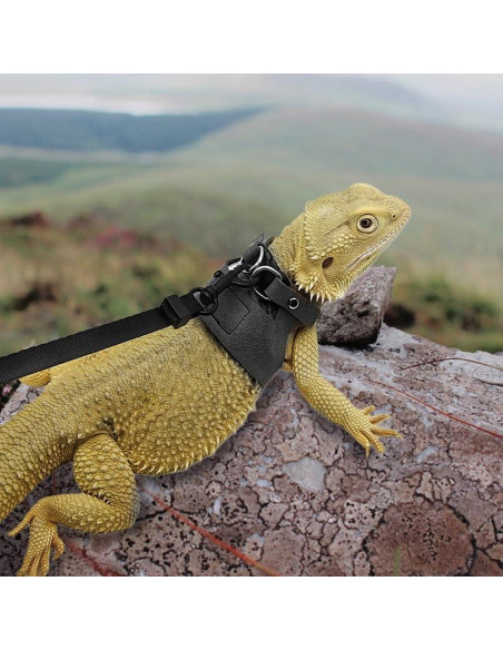 Correa y Arnés Ajustable para Dragón Barbudo HOKABLE - 3 Tamaños