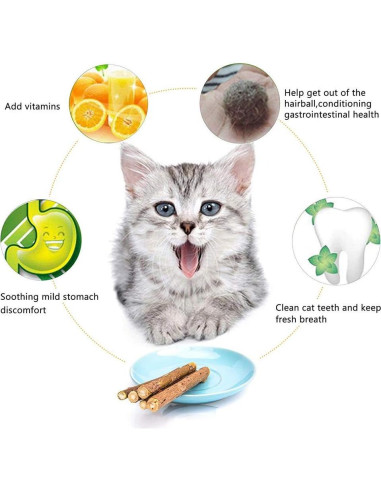 10 Palos de Silvervine Naturales WoLover para Gatos