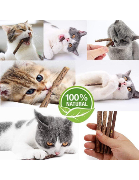 10 Palos de Silvervine Naturales WoLover para Gatos
