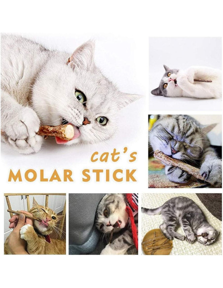 10 Palos de Silvervine Naturales WoLover para Gatos