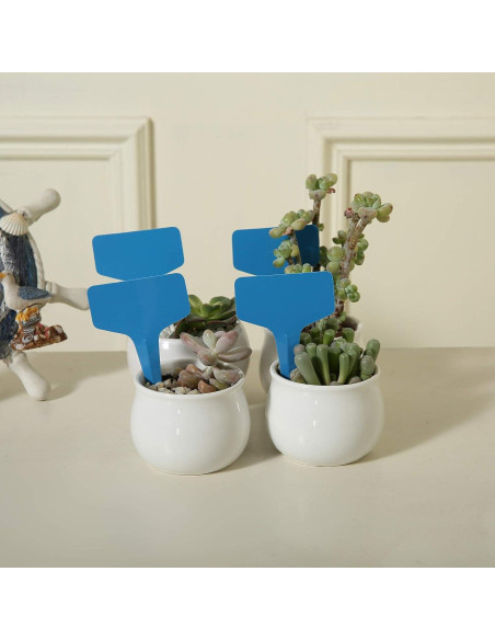 100 Etiquetas de Jardín Plásticas MIHEY Azul 6x10 cm