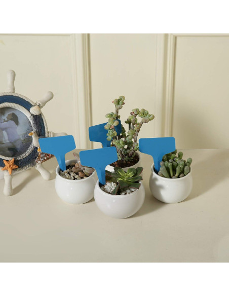100 Etiquetas de Jardín Plásticas MIHEY Azul 6x10 cm