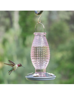 Alimentador de Colibríes Vintage Perky-Pet 710 ml Vidrio 2