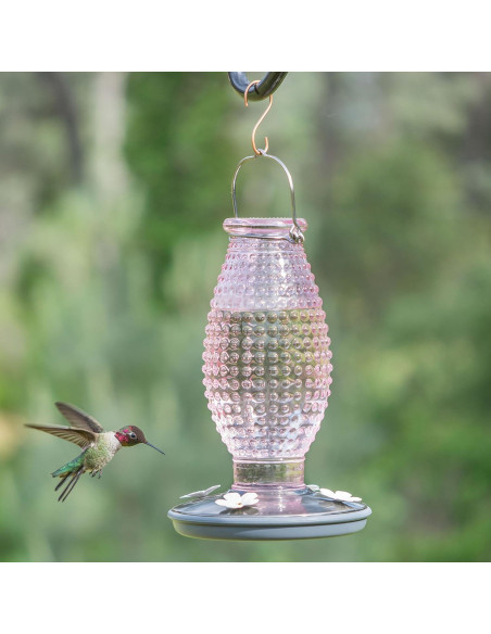 Alimentador de Colibríes Vintage Perky-Pet 710 ml Vidrio