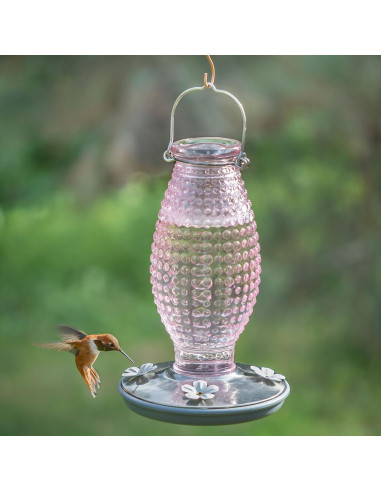 Alimentador de Colibríes Vintage Perky-Pet 710 ml Vidrio