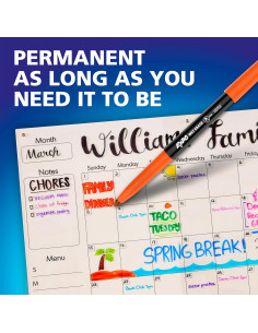 Marcadores de Borrado Húmedo EXPO, 12 Colores, Punta Fina 2