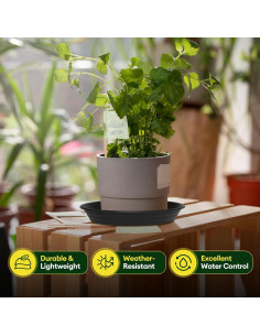 Paquete de 4 platos para plantas Maygrove 20 cm multicolor 2