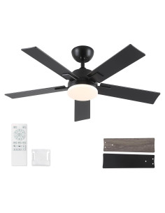 Ventilador de Techo Rayqueen 106.68 cm Negro con Luz y Control Remoto