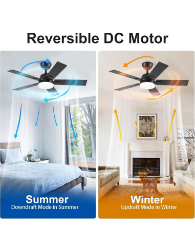 Ventilador de Techo Rayqueen 106.68 cm Negro con Luz y Control Remoto