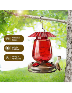 Comedero para Colibríes Auslar 0.47L Vidrio Rojo 5 Puertos 2