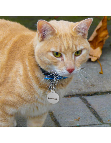 25 Etiquetas de Perro Personalizadas Sekonow 3.1cm Aluminio