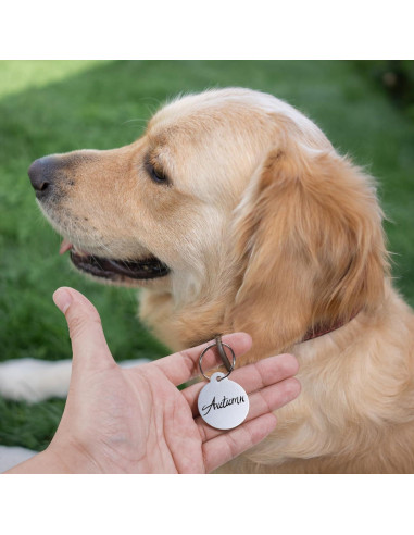 25 Etiquetas de Perro Personalizadas Sekonow 3.1cm Aluminio