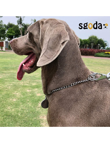 Collar de ahorque para perros SGODA 50.8 cm acero inoxidable
