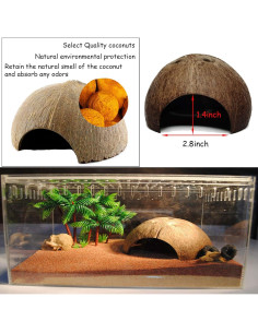 Decoración para Terrario 6PCS Kathson - Refugio Coco y Vides 2