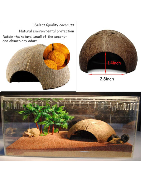 Decoración para Terrario 6PCS Kathson - Refugio Coco y Vides