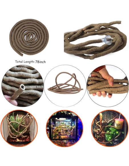 Decoración para Terrario 6PCS Kathson - Refugio Coco y Vides