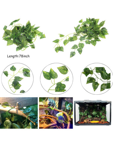 Decoración para Terrario 6PCS Kathson - Refugio Coco y Vides