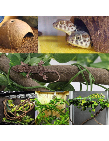 Decoración para Terrario 6PCS Kathson - Refugio Coco y Vides