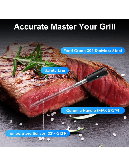 Termómetro de Carne Inalámbrico Bluetooth Newise BMT02 con 2 Probes