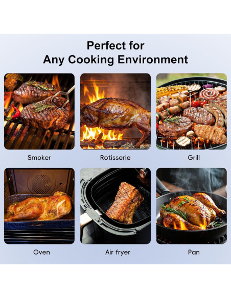 Termómetro de Carne Inalámbrico Bluetooth Newise BMT02 con 2 Probes