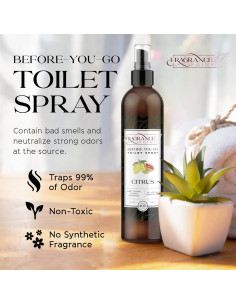 Spray para Inodoro Fragrance Fairy 240g - Eliminador de Olores Cítrico 2