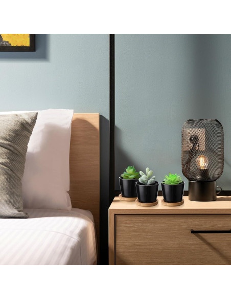 Hsei Paquete de 24 Macetas Mini Cerámica 6.4x5 cm con Bandeja