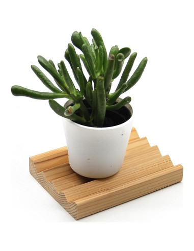 Plato de Jabón de Cedro L'Olivier Naturals 11.7x8.6 cm