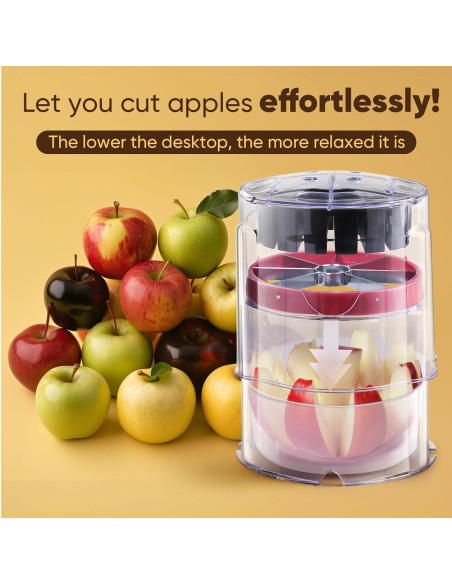 Cortador de Manzanas Newness 8 Rebanadas Acero Inoxidable 13 cm Cortador de Manzanas Newness 8 Rebanadas Acero Inoxidable 13 cm