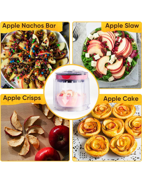 Cortador de Manzanas Newness 8 Rebanadas Acero Inoxidable 13 cm Cortador de Manzanas Newness 8 Rebanadas Acero Inoxidable 13 cm