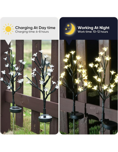 Luces de Jardín Solares IUEECEN 2 Paquete 40 LED Impermeables