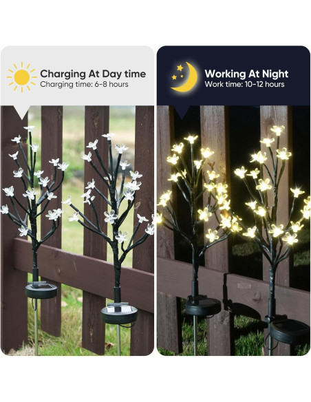 Luces de Jardín Solares IUEECEN 2 Paquete 40 LED Impermeables