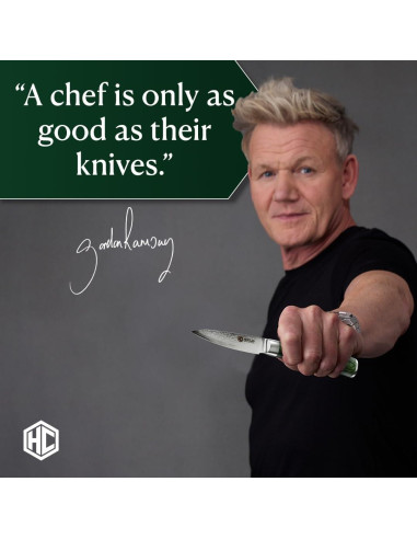 Cuchillo de Pelar HexClad 3.5" Acero Damasco Inoxidable Pakkawood