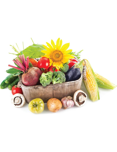 Fertilizante Granular Orgánico Jobe 1.81 kg Todo Propósito