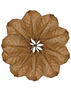 Hoja de Hojarasca SunGrow para Reptiles - 10 Piezas Medianas 2