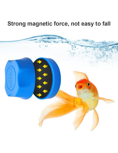 Raspador Magnético Mini Lychee para Acuarios - Azul