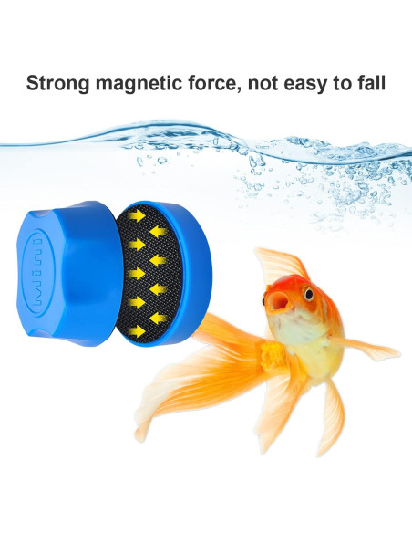 Raspador Magnético Mini Lychee para Acuarios - Azul