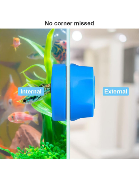 Raspador Magnético Mini Lychee para Acuarios - Azul