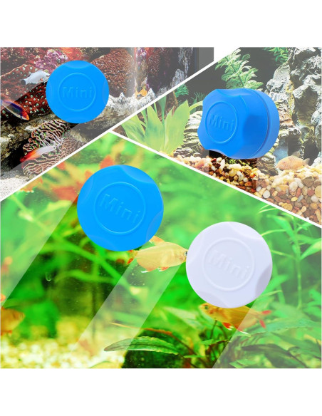 Raspador Magnético Mini Lychee para Acuarios - Azul