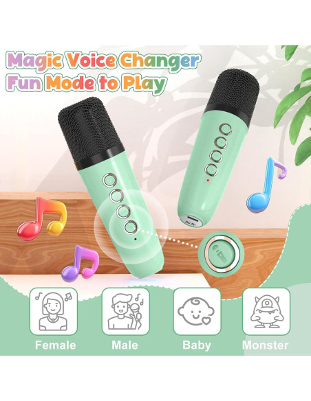 Máquina de Karaoke Mini FLUESTON Verde 2 Micrófonos Inalámbricos