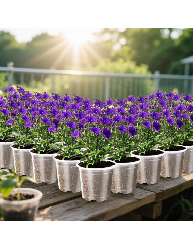 Macetas de Plástico Transparentes Augshy 10cm - 36 Piezas con Drenaje